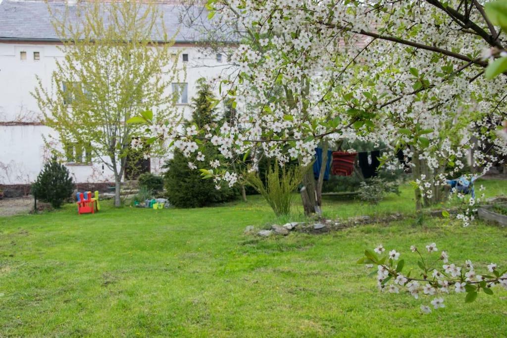 Gospodarstwo U Krakusa Doboszowice Bagian luar foto