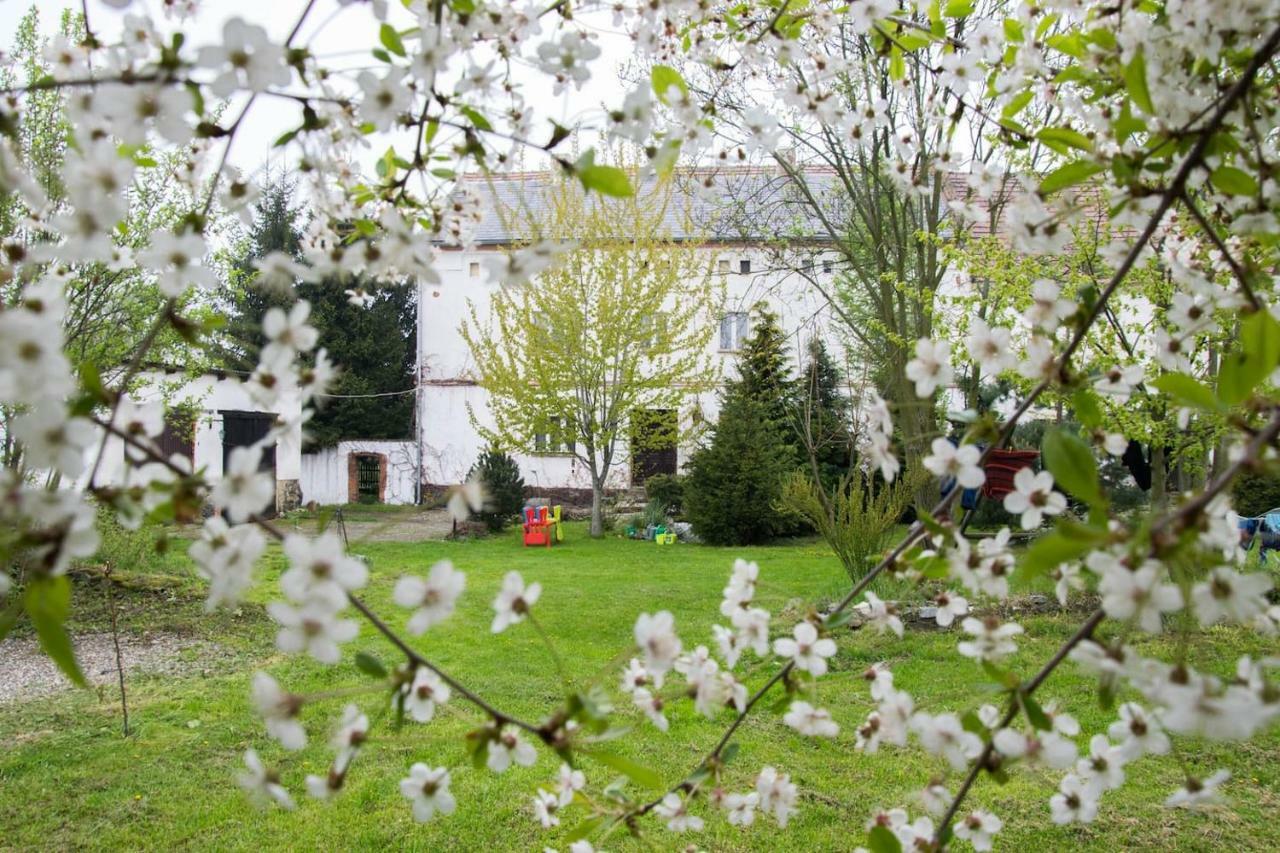 Gospodarstwo U Krakusa Doboszowice Bagian luar foto