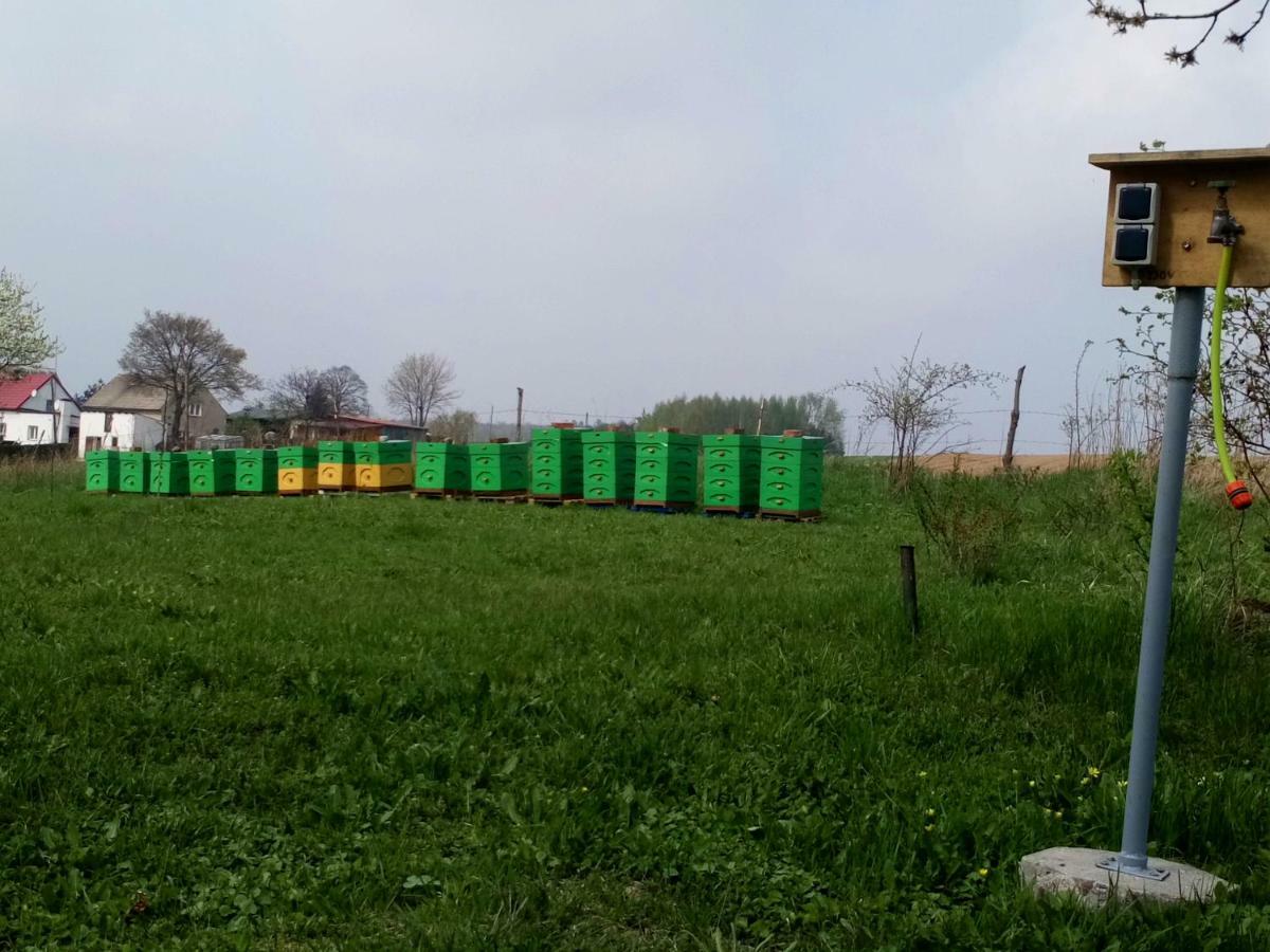 Gospodarstwo U Krakusa Doboszowice Bagian luar foto